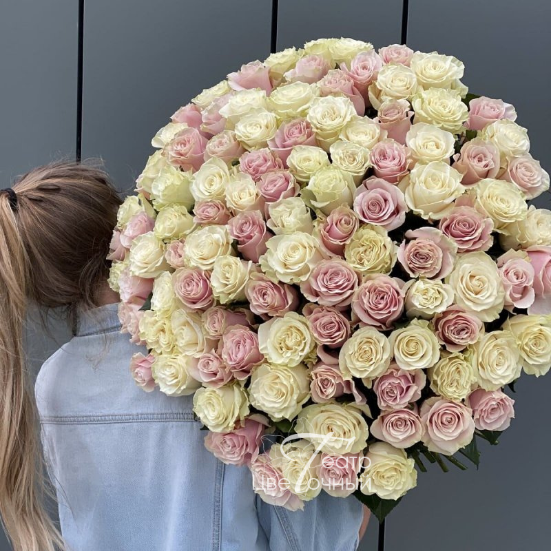 Бело-розовые розы 101 шт