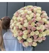 Бело-розовые розы Эквадор 101 шт