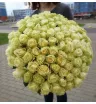 Белые розы Эквадор 101 шт 1