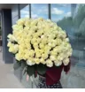 Белые розы Эквадор 101 шт 1