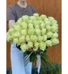 Белые розы Эквадор 51 шт