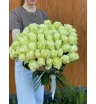 Белые розы Эквадор 51 шт 1