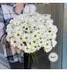Хризантема (11шт, 15шт, 21шт, 25шт, 31шт)