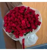Красные розы 50см 101шт