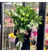 Лилия (5шт, 7шт, 15шт, 25шт, 51шт) (уточняйте наличие в магазине) 3
