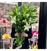 Лилия (5шт, 7шт, 15шт, 25шт, 51шт) (уточняйте наличие в магазине) 2