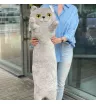 Кот Британский 90 см