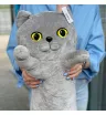 Кот Британский 90 см 1