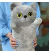 Кот британский 70 см 1