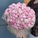 Летняя коллекция