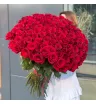 Букет 101 роза 90см  1