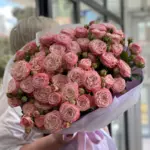 Летняя коллекция