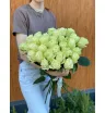 Белые розы Эквадор 31 шт