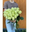 Белые розы Эквадор 31 шт 1